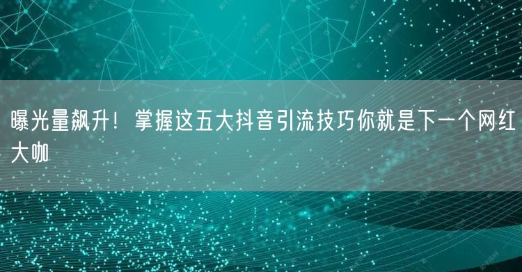 曝光量飙升！掌握这五大抖音引流技巧你就是下一个网红大咖