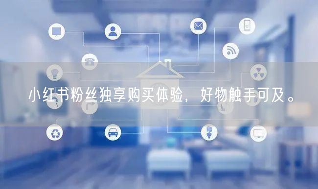 小红书粉丝独享购买体验，好物触手可及。