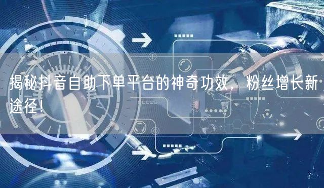 揭秘抖音自助下单平台的神奇功效，粉丝增长新途径！