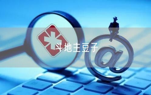 斗地主豆子